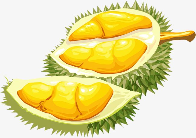 Berbagai Jenis Durian: Menyelami Ragam Rasa dan Keunikannya di Asia Tenggara
